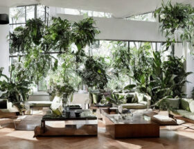 Cubic Plantebord: Et innovativt koncept til at bringe naturen ind i dit hjem