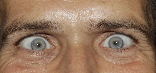 Refectocil's øjenbrynsfarver: Hvilken farve passer bedst til din hårfarve?
