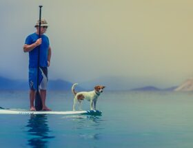 Paddleboarding som træningsform: Styrk kroppen og sindet på vandet