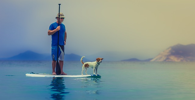 Paddleboarding som træningsform: Styrk kroppen og sindet på vandet