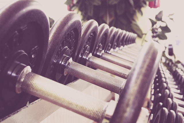 Træningselastikker vs. vægte: Hvad er bedst for din træning?