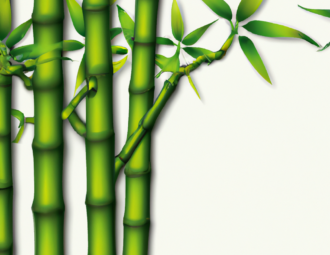 Hvad Er Fordelene Ved Bambus Dyner? – Vi giver dig et overblik over de mange gavnlige egenskaber.